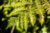 8/10 DSC_3108 site.jpg